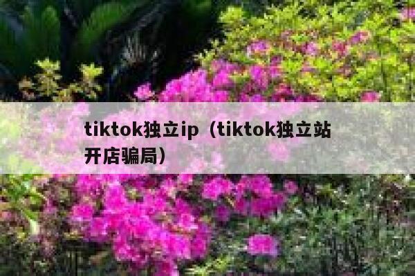 tiktok独立ip（tiktok独立站开店骗局） 第1张