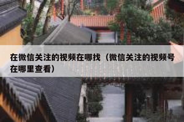 在微信关注的视频在哪找（微信关注的视频号在哪里查看） 第1张