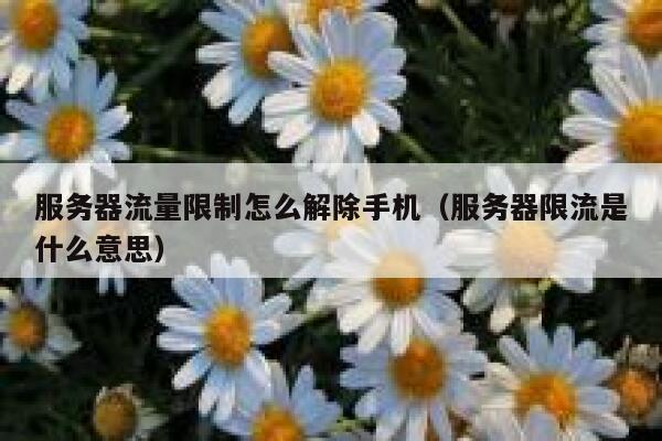 服务器流量限制怎么解除手机（服务器限流是什么意思） 第1张