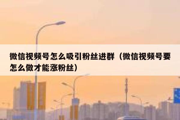 微信视频号怎么吸引粉丝进群（微信视频号要怎么做才能涨粉丝） 第1张