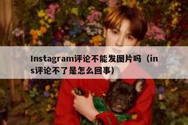 Instagram评论不能发图片吗（ins评论不了是怎么回事） 第1张