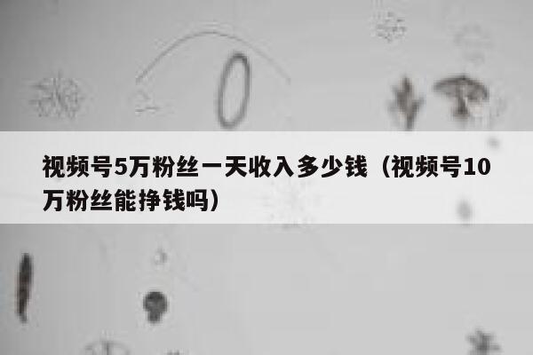视频号5万粉丝一天收入多少钱（视频号10万粉丝能挣钱吗） 第1张