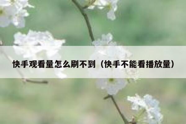 快手观看量怎么刷不到（快手不能看播放量） 第1张
