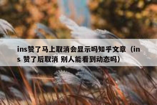 ins赞了马上取消会显示吗知乎文章（ins 赞了后取消 别人能看到动态吗） 第1张