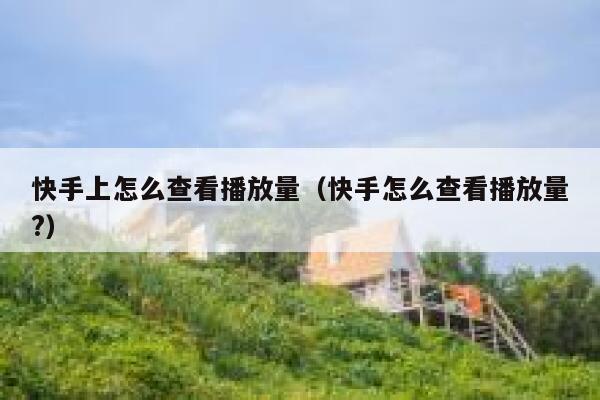 快手上怎么查看播放量（快手怎么查看播放量?） 第1张