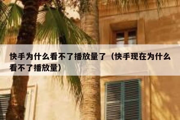 快手为什么看不了播放量了（快手现在为什么看不了播放量） 第1张