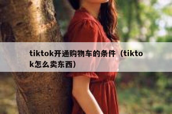 tiktok开通购物车的条件（tiktok怎么卖东西） 第1张