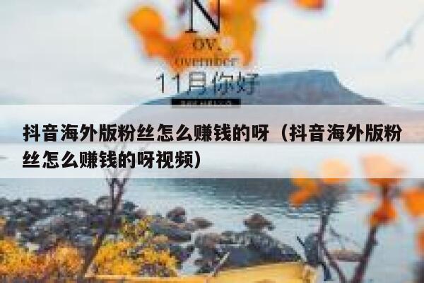 抖音海外版粉丝怎么赚钱的呀（抖音海外版粉丝怎么赚钱的呀视频） 第1张
