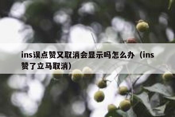 ins误点赞又取消会显示吗怎么办（ins赞了立马取消） 第1张