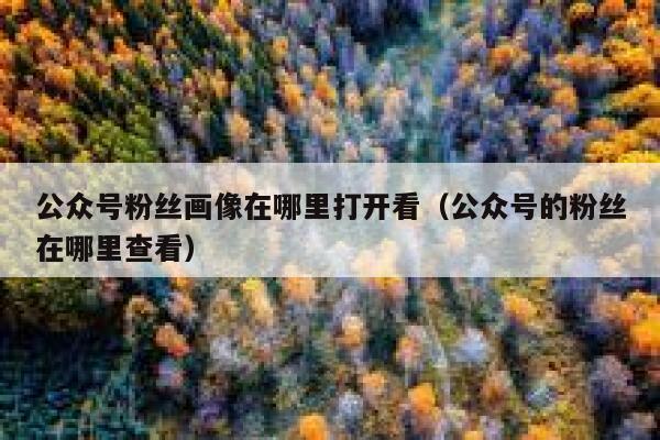 公众号粉丝画像在哪里打开看（公众号的粉丝在哪里查看） 第1张
