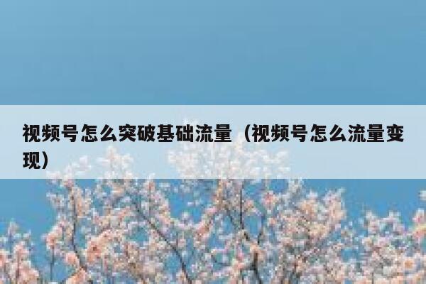 视频号怎么突破基础流量（视频号怎么流量变现） 第1张