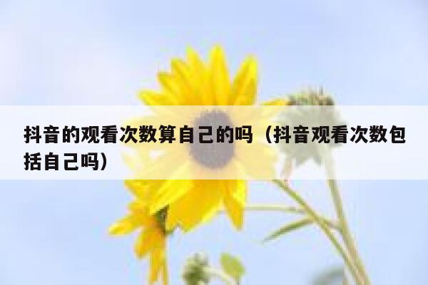 抖音的观看次数算自己的吗（抖音观看次数包括自己吗） 第1张
