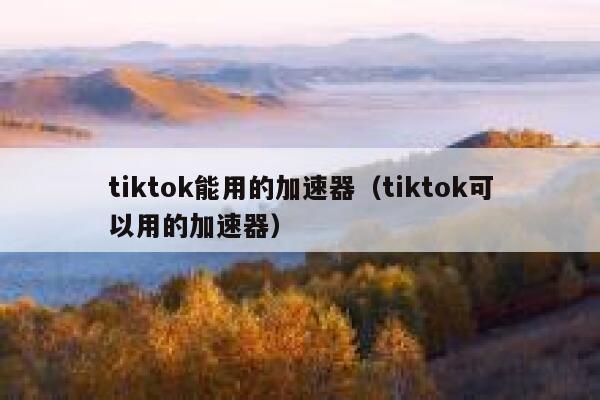 tiktok能用的加速器（tiktok可以用的加速器） 第1张
