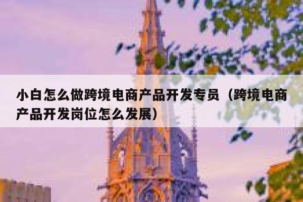 小白怎么做跨境电商产品开发专员（跨境电商产品开发岗位怎么发展） 第1张