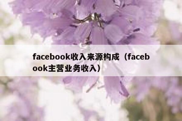 facebook收入来源构成（facebook主营业务收入） 第1张