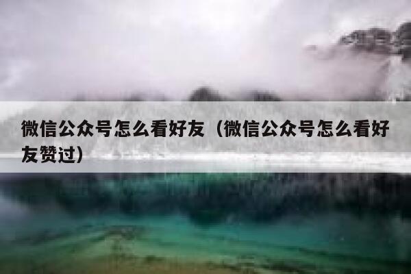 微信公众号怎么看好友（微信公众号怎么看好友赞过） 第1张