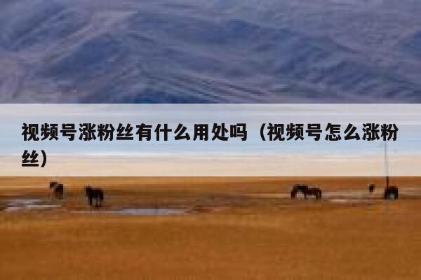 视频号涨粉丝有什么用处吗（视频号怎么涨粉丝） 第1张