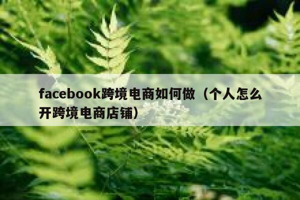 facebook跨境电商如何做（个人怎么开跨境电商店铺） 第1张
