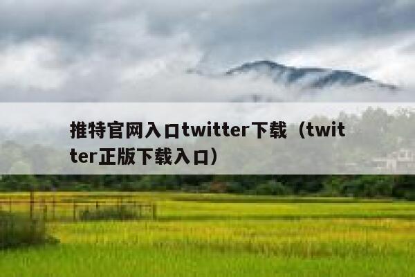 推特官网入口twitter下载（twitter正版下载入口） 第1张