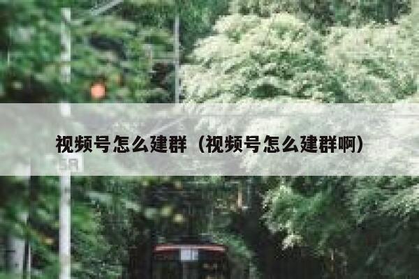 视频号怎么建群（视频号怎么建群啊） 第1张