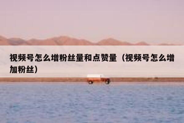 视频号怎么增粉丝量和点赞量（视频号怎么增加粉丝） 第1张