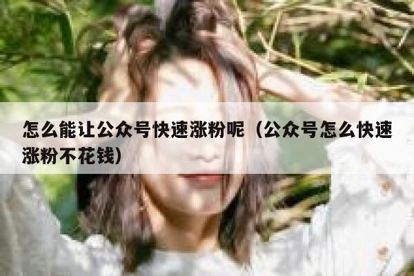 怎么能让公众号快速涨粉呢（公众号怎么快速涨粉不花钱） 第1张