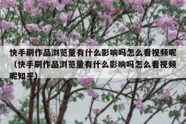 快手刷作品浏览量有什么影响吗怎么看视频呢（快手刷作品浏览量有什么影响吗怎么看视频呢知乎） 第1张