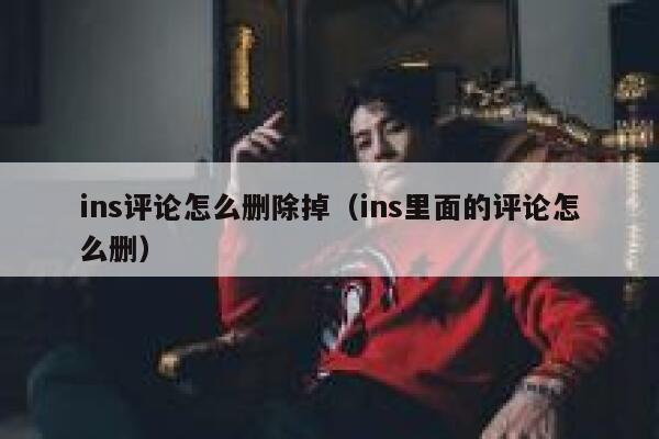 ins评论怎么删除掉（ins里面的评论怎么删） 第1张
