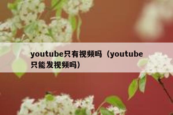 youtube只有视频吗（youtube只能发视频吗） 第1张