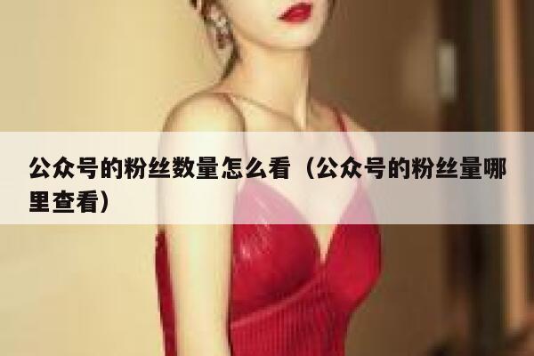 公众号的粉丝数量怎么看（公众号的粉丝量哪里查看） 第1张