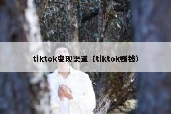 tiktok变现渠道（tiktok赚钱） 第1张
