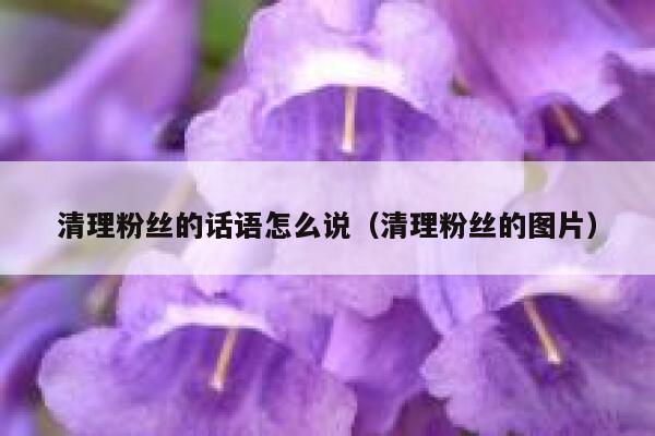 清理粉丝的话语怎么说（清理粉丝的图片） 第1张