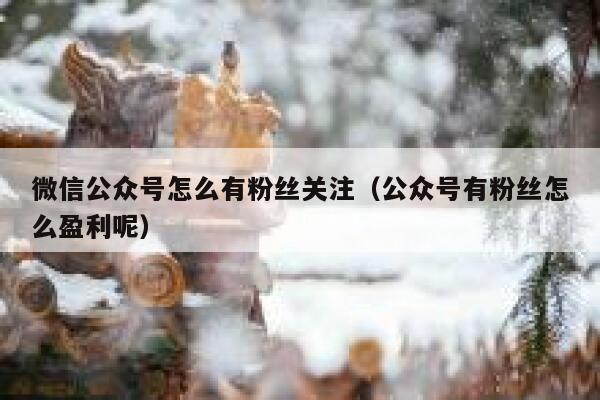 微信公众号怎么有粉丝关注（公众号有粉丝怎么盈利呢） 第1张