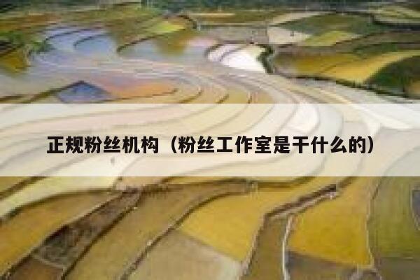 正规粉丝机构（粉丝工作室是干什么的） 第1张