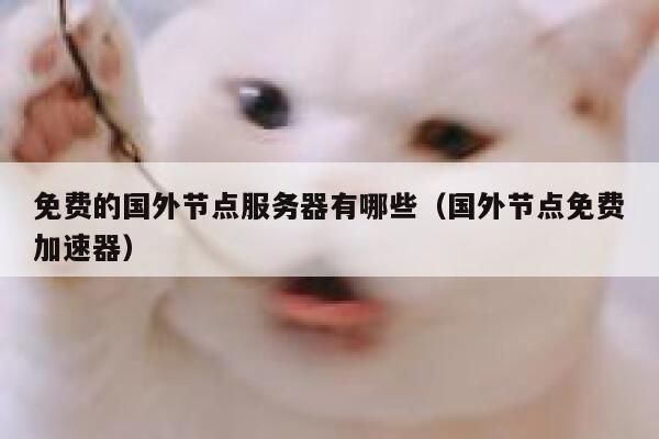 免费的国外节点服务器有哪些（国外节点免费加速器） 第1张