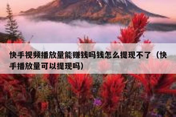 快手视频播放量能赚钱吗钱怎么提现不了（快手播放量可以提现吗） 第1张