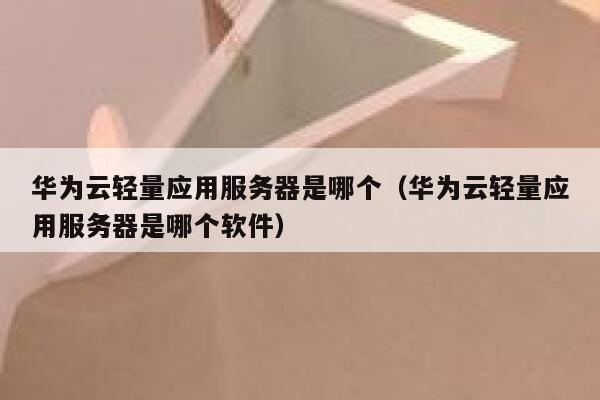 华为云轻量应用服务器是哪个（华为云轻量应用服务器是哪个软件） 第1张