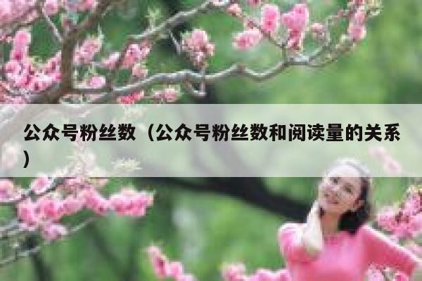 公众号粉丝数（公众号粉丝数和阅读量的关系） 第1张