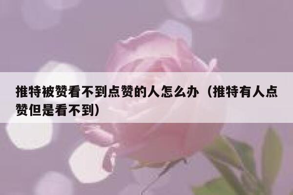 推特被赞看不到点赞的人怎么办（推特有人点赞但是看不到） 第1张