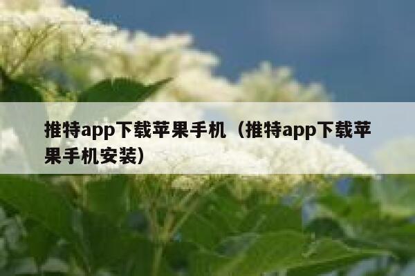 推特app下载苹果手机（推特app下载苹果手机安装） 第1张