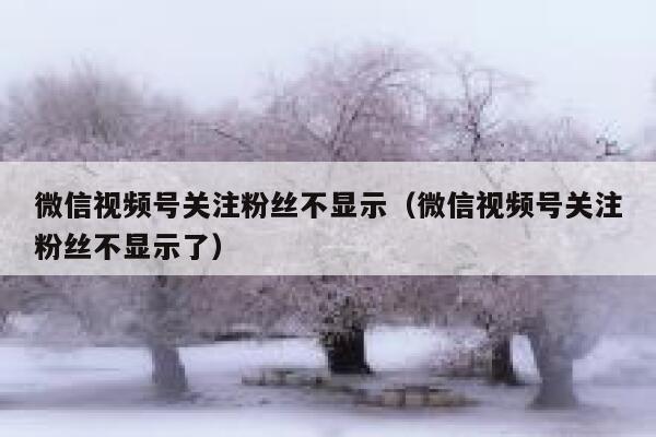 微信视频号关注粉丝不显示（微信视频号关注粉丝不显示了） 第1张