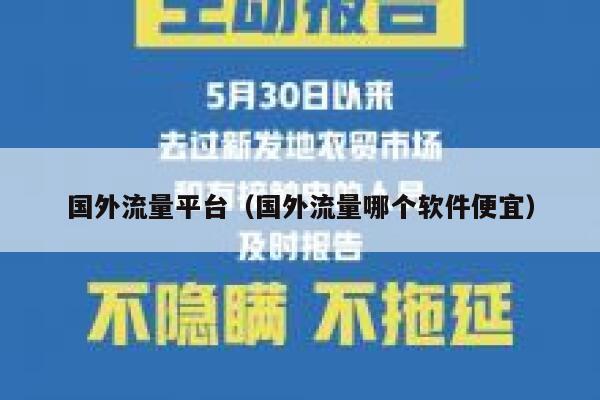 国外流量平台（国外流量哪个软件便宜） 第1张