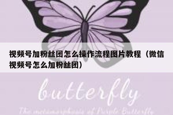 视频号加粉丝团怎么操作流程图片教程（微信视频号怎么加粉丝团） 第1张