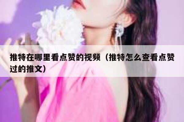 推特在哪里看点赞的视频（推特怎么查看点赞过的推文） 第1张