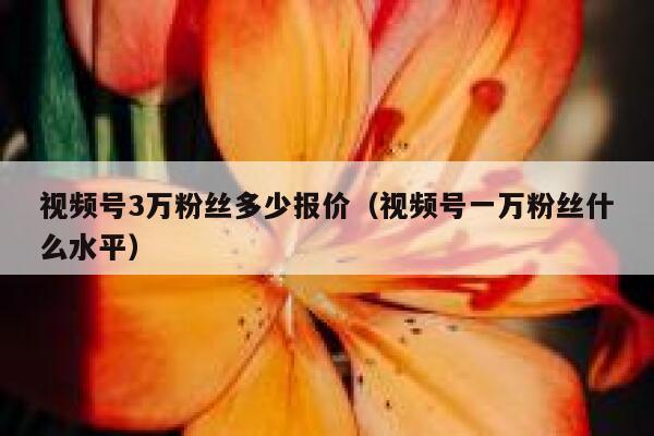 视频号3万粉丝多少报价（视频号一万粉丝什么水平） 第1张