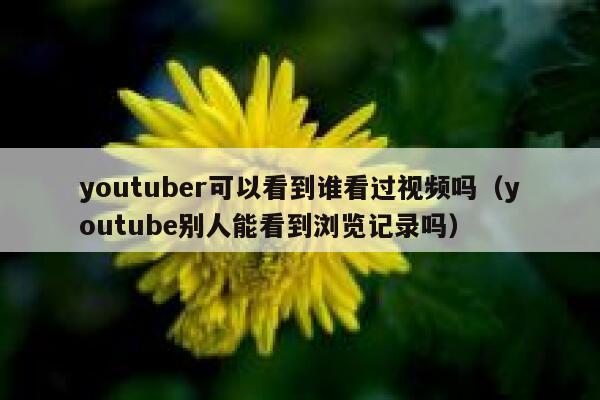 youtuber可以看到谁看过视频吗（youtube别人能看到浏览记录吗） 第1张