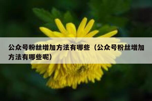 公众号粉丝增加方法有哪些（公众号粉丝增加方法有哪些呢） 第1张