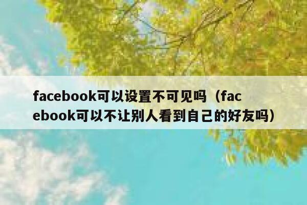 facebook可以设置不可见吗（facebook可以不让别人看到自己的好友吗） 第1张