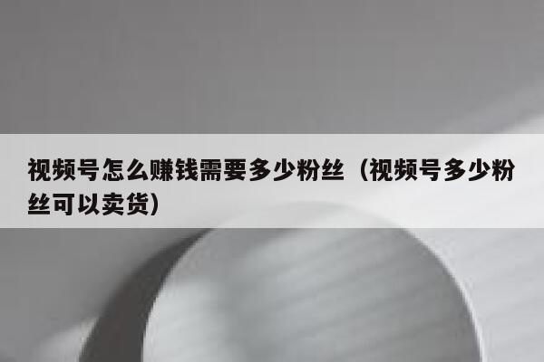 视频号怎么赚钱需要多少粉丝（视频号多少粉丝可以卖货） 第1张
