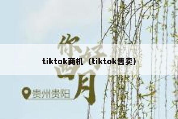 tiktok商机（tiktok售卖） 第1张